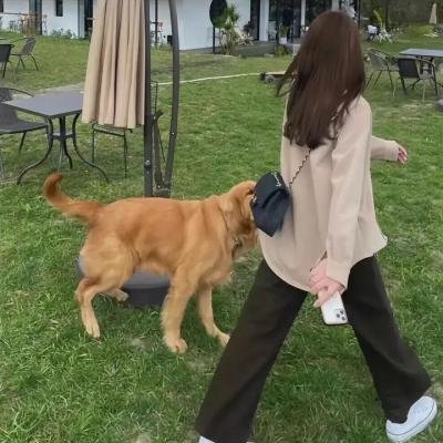 温暖的季节